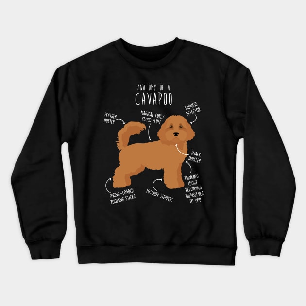 Cavapoo Dog Anatomy Crewneck Sweatshirt by Psitta